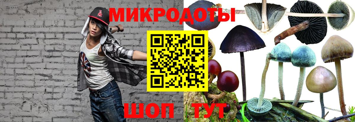 Галлюциногенные грибы мухоморы  Вход с VPN  как найти   Батайск  Галлюциногенные грибы Magic Shrooms 