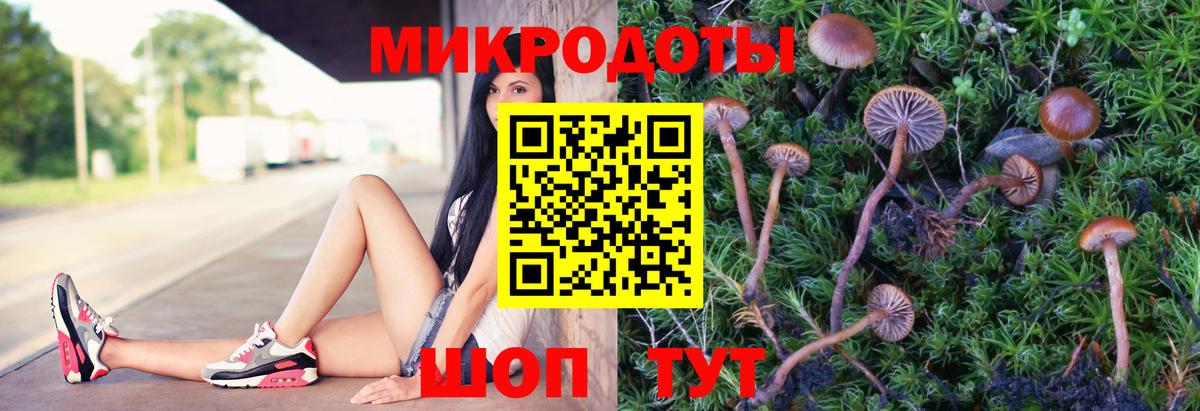 Галлюциногенные грибы мухоморы Батайск